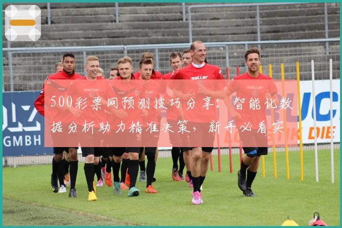 500彩票网预测技巧分享：智能化数据分析助力精准决策，新手必看实用指南
