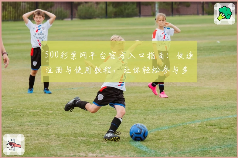 500彩票网平台官方入口指南：快速注册与使用教程，让你轻松参与多元活动